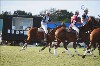 UKPA  NC Sat_1517